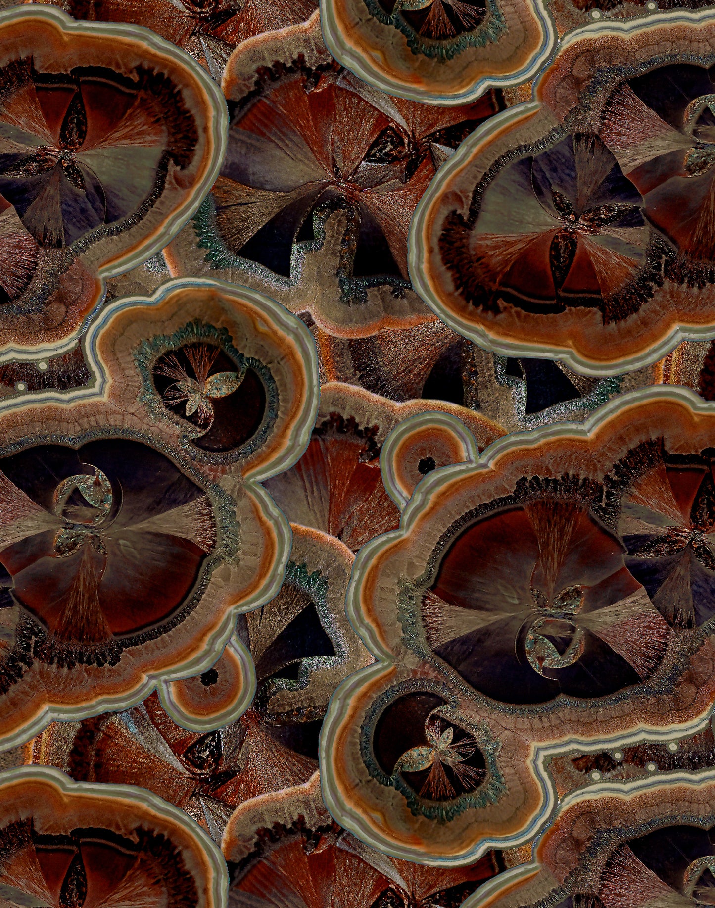 Macro-kristallen - herfst