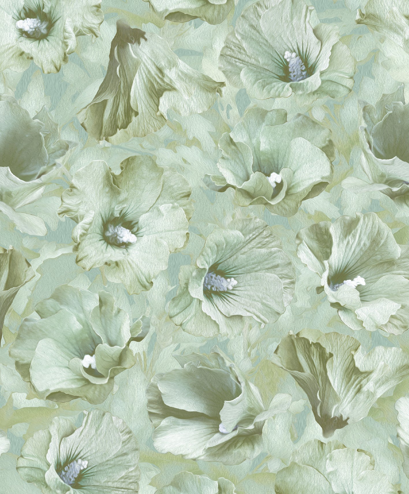 Hibiscus - groen