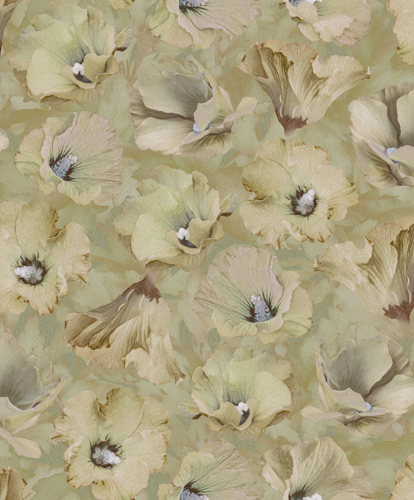 Hibiscus - geel