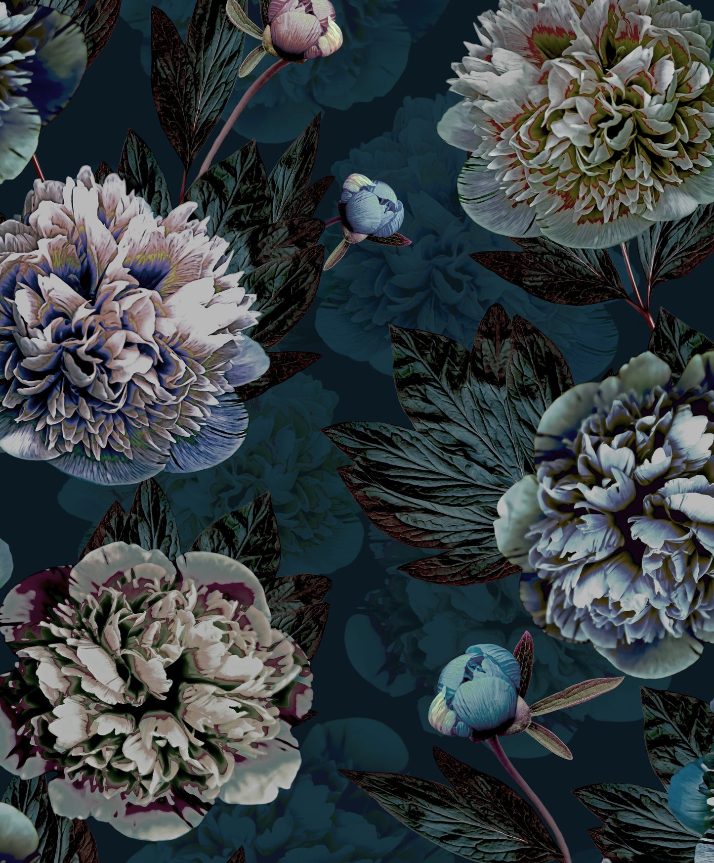Pioenen - blauw
