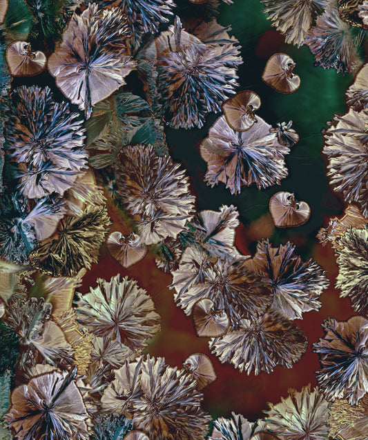 Kristalhelder - rainbow